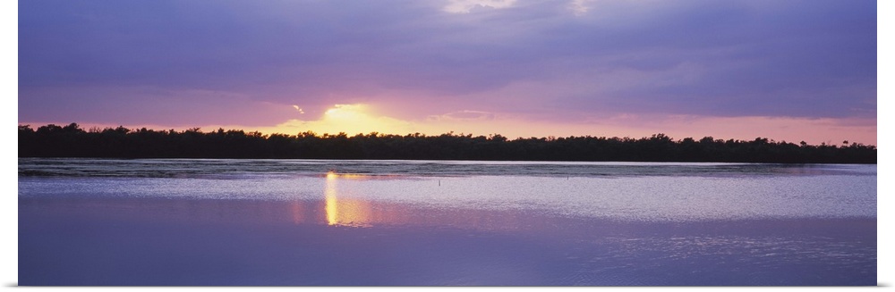 Sunset over the forest, J. N. Ding Darling National Wildlife Refuge, Sanibel Island, Florida