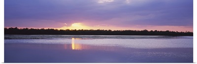 Sunset over the forest, J. N. Ding Darling National Wildlife Refuge, Sanibel Island, Florida