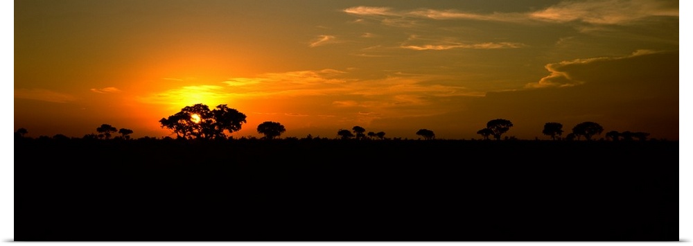Sunset over the savannah plains, Kruger National Park, South Africa