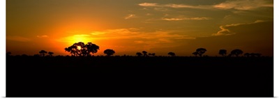 Sunset over the savannah plains, Kruger National Park, South Africa