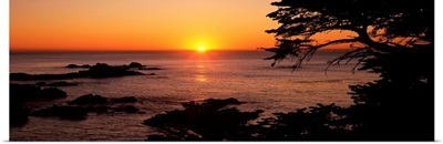 Sunset over the sea, Point Lobos State Reserve, Carmel, Monterey County, California,