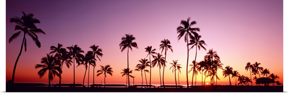 This panoramic photograph shows several silhouettes of trees clustered around the shoreline of this tropical island.