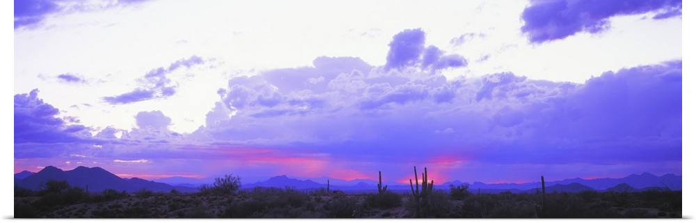 Sunset Sonoran Desert Tonto National Forest Arizona