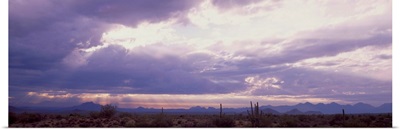 Sunset Sonoran Desert Tonto National Forest AZ