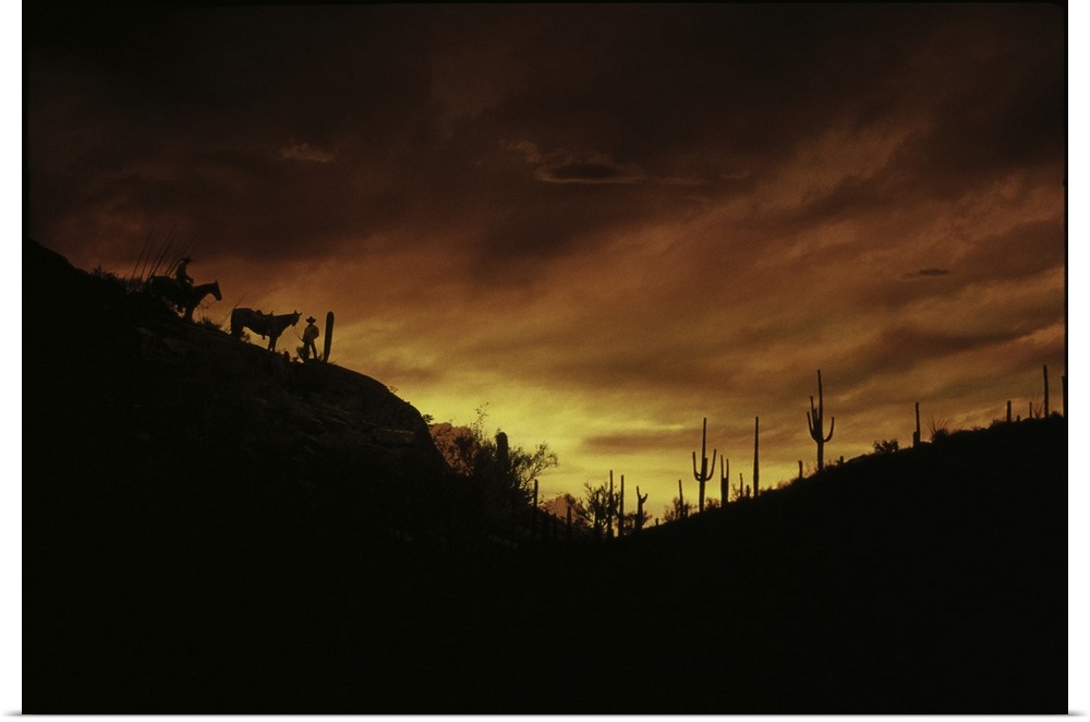 Two cowboys and their horses are silhouetted against the fading sunlight, along with tall cactuses, in a dry desert landsc...