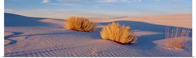 Sunset White Sands National Monument NM