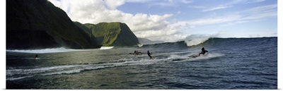 Surfers in the sea, Hawaii,