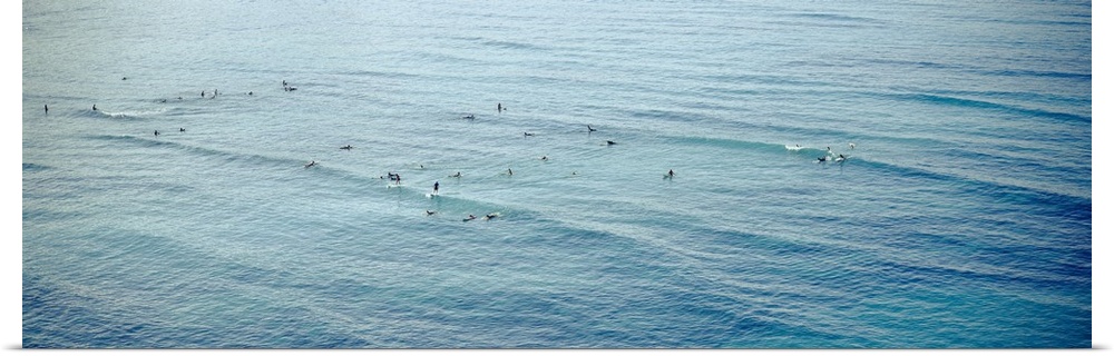 Surfers Waikiki HI