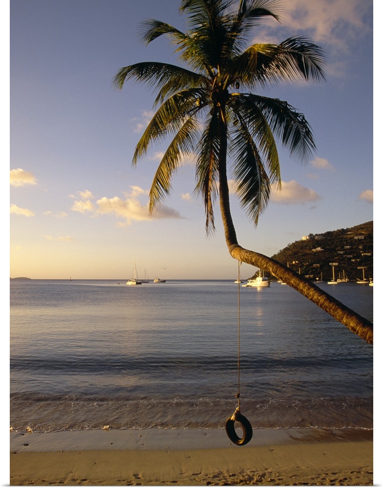 A tire swing hangs from a crooked tree growing over the sandy beach at this tropical island harbor.