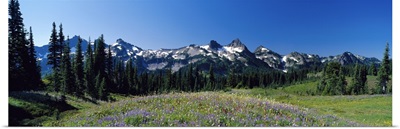 Tatoosh Range Mount Rainier National Park WA
