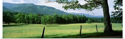 Tennessee, Great Smoky Mountains National Park, Cades Cove, Meadow surrounded by barbed wire fence