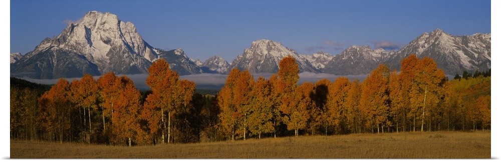 Photograph taken of immense snow capped mountains with autumn colored trees and a field shown in the foreground.