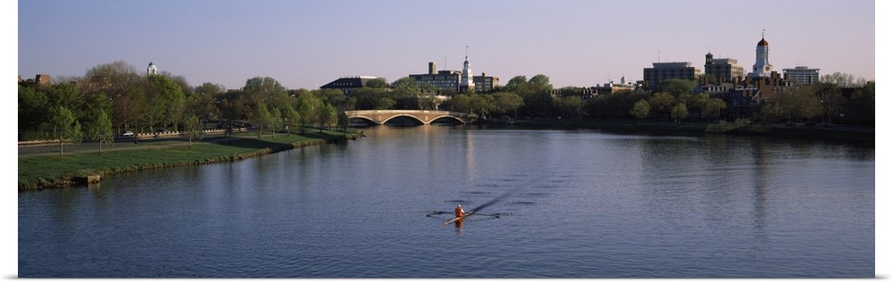 Panoramic photograph of rower in lake lined by trees with bridge in the distance under a clear sky.