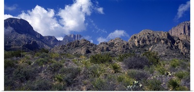 The Chisos Mountains Big Bend National Park TX