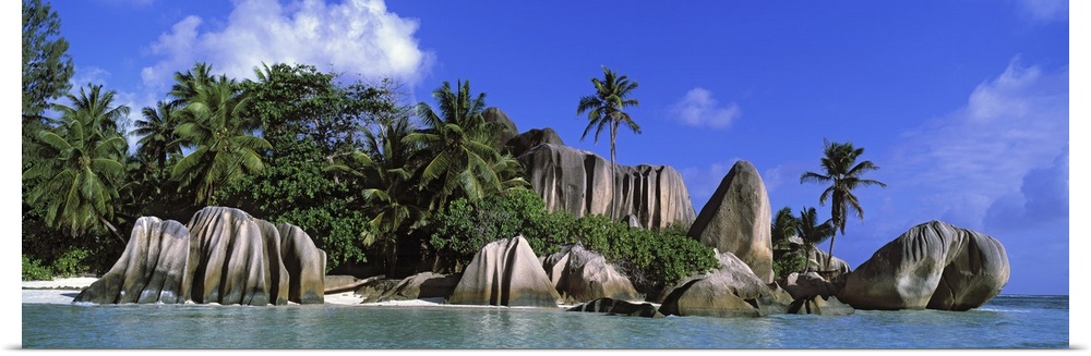 Panoramic canvas photo of big smooth rocks on an ocean shore with a forest of palm behind them.