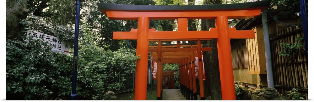 Torii Gates in a park, Ueno Park, Taito, Tokyo Prefecture, Kanto Region, Japan