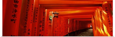 Torii gates of a shrine, Fushimi Inari-Taisha, Fushimi Ward, Kyoto, Kyoto Prefecture, Kinki Region, Honshu, Japan