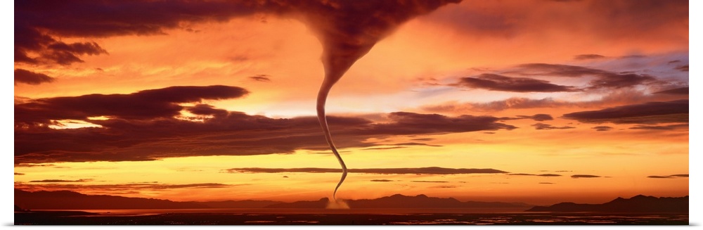 A large panoramic shot of a tornado touching down with a sunset sky stretching across the entire piece.