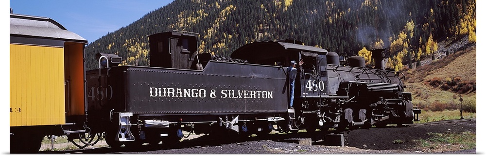 Train on a railroad track, Durango And Silverton Narrow Gauge Railroad, Ridgway, Ouray County, Colorado, USA