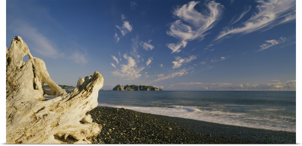Photograph of large piece of driftwood near coastline under a cloudy sky.