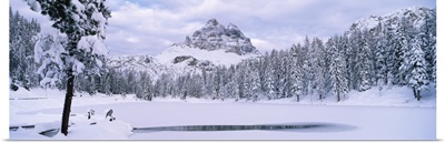 Trees along a frozen lake, Lake Antorno, Tre Cime Di Lavaredo, Dolomites, Cadore, Province of Belluno, Veneto, Italy