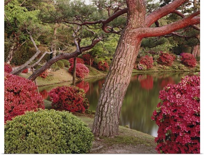 Trees along a lake, Byodo-In, Kyoto Prefecture, Honshu, Japan