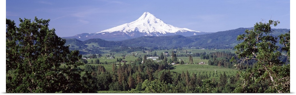 Trees and farms with a snowcapped mountain in the background, Mt Hood, Oregon,