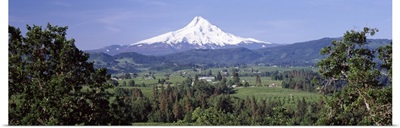 Trees and farms with a snowcapped mountain in the background, Mt Hood, Oregon,