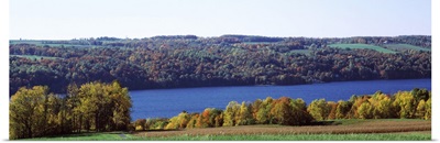 Trees at the lakeside, Owasco Lake, Finger Lakes, New York State