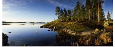 Trees at the lakeside, Saimaa, Puumala, Southern Savonia, Eastern Finland, Finland