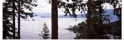 Trees at the seaside, Teddy Bear Cove, Chuckanut Bay, Skagit County, Washington State,