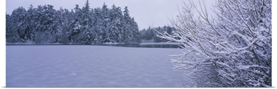 Trees covered with snow along a frozen lake, Heart Lake, Fidalgo Island, Skagit County, Washington State