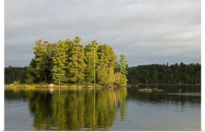 Trees growing on small island, water reflection, Lake Agnes, Boundary Waters Canoe Area Wilderness, Minnesota