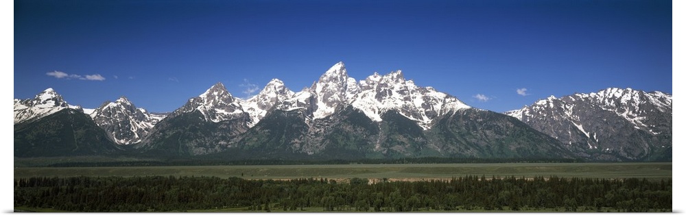 Trees in a forest with mountains in the background, Teton Point Turnout, Teton Range, Grand Teton National Park, Wyoming