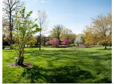 Trees in a garden, Sherwood Gardens, Baltimore, Maryland