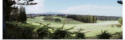 Trees in a golf course, Ritz-Carlton, Kapalua, Maui, Maui County, Hawaii