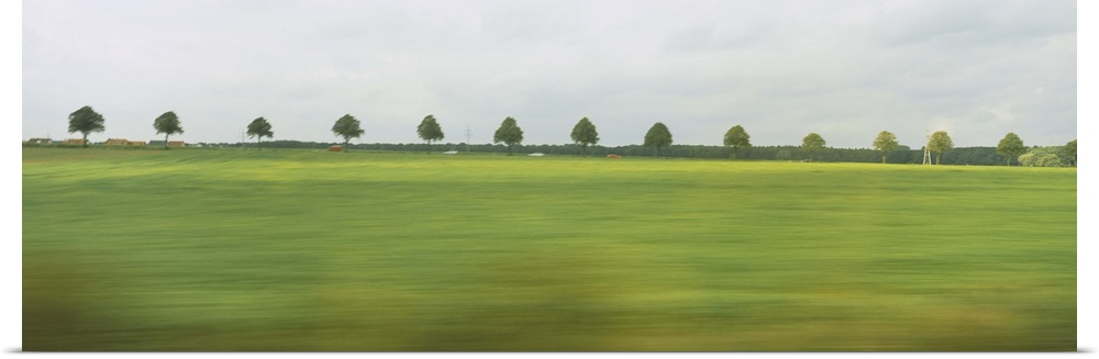 Trees in a row viewed through a train window, Baden-Wurttemberg, Germany