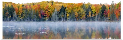 Trees in autumn at Lake Hiawatha, Alger County, Upper Peninsula, Michigan