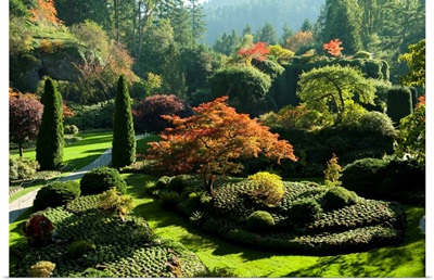Trees in Butchart Gardens, Victoria, Vancouver Island, British Columbia, Canada