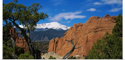 Trees in front of a rock formation, Pikes Peak, Garden Of The Gods, Colorado Springs, Colorado
