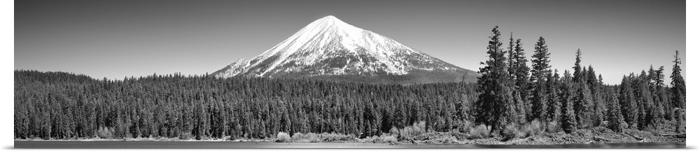 Trees in front of a snowcapped mountain, Mt McLoughlin, Oregon