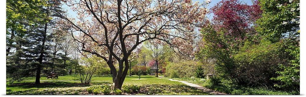 Addams Park, Spring, Weaton, Illinois, USA