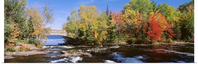 Trees near a river, Bog River, New York State