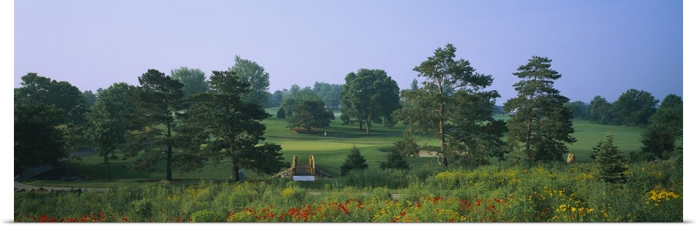 Trees on a golf course, Des Moines Golf And Country Club, Des Moines, Iowa