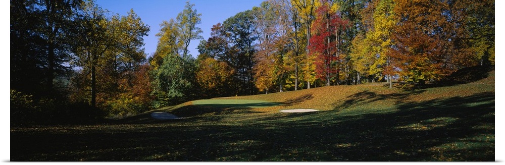 Trees on a golf course, Hercules Country Club, Wilmington, Delaware