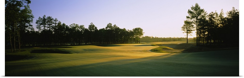 This is a landscape photograph of an empty golf landscape in the morning light.