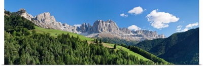 Trees on a hill, Rosengarten, Dolomites, Trentino, Alto Adige, Italy