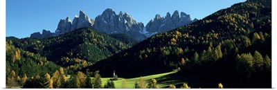 Trees on a landscape, Dolomites, Funes Valley, Le Odle, Santa Maddalena, Tyrol, Italy