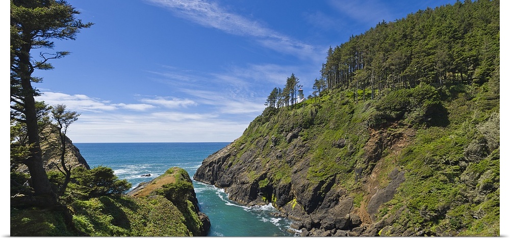 Trees on a mountain, Heceta Head Lighthouse, Oregon