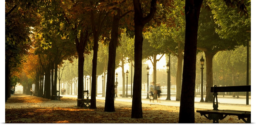 Panoramic photograph portrays a long sidewalk covered with leaves within Paris, France that is surrounded by tall trees, s...